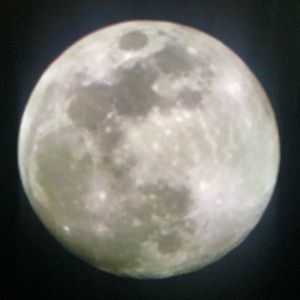 Meet your Posher, Katherine